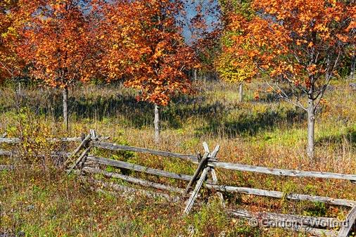 Autumn Split-rails_23460.jpg - Photographed near Smiths Falls, Ontario, Canada.